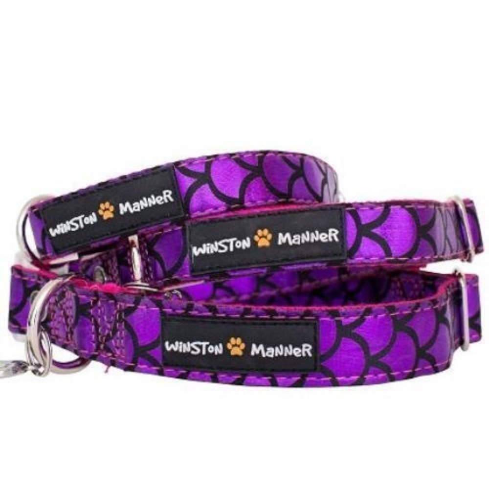 Winston Manner Designer Dog Collar in Mermaid
